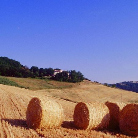 Agriturismo Il Fienile Di Ca Battista 卡利 外观 照片