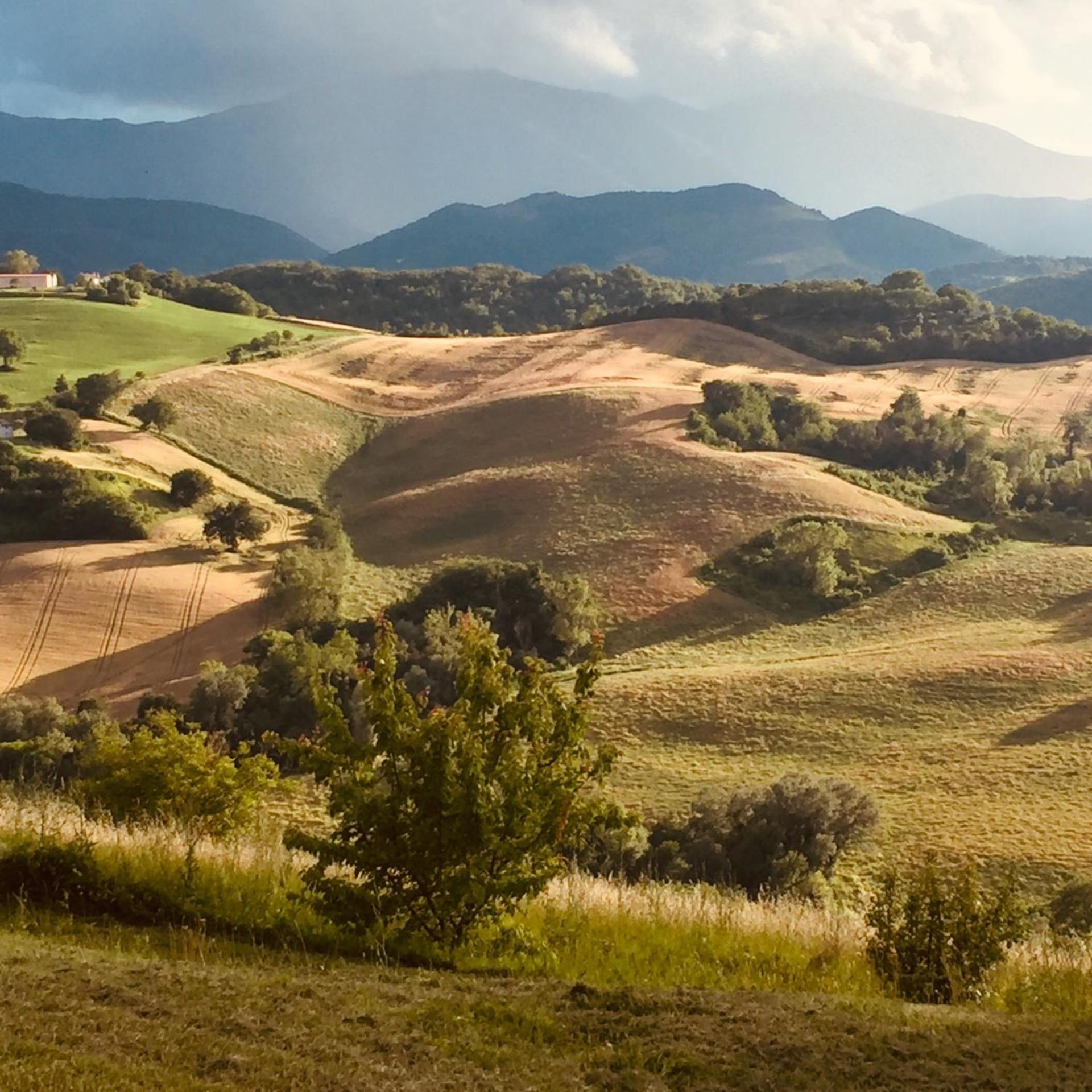 Agriturismo Il Fienile Di Ca Battista 卡利 外观 照片
