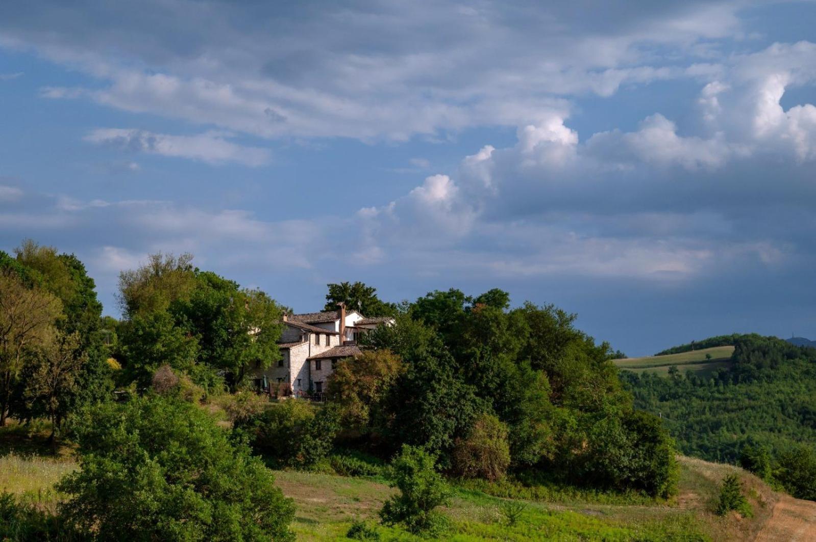 Agriturismo Il Fienile Di Ca Battista 卡利 外观 照片
