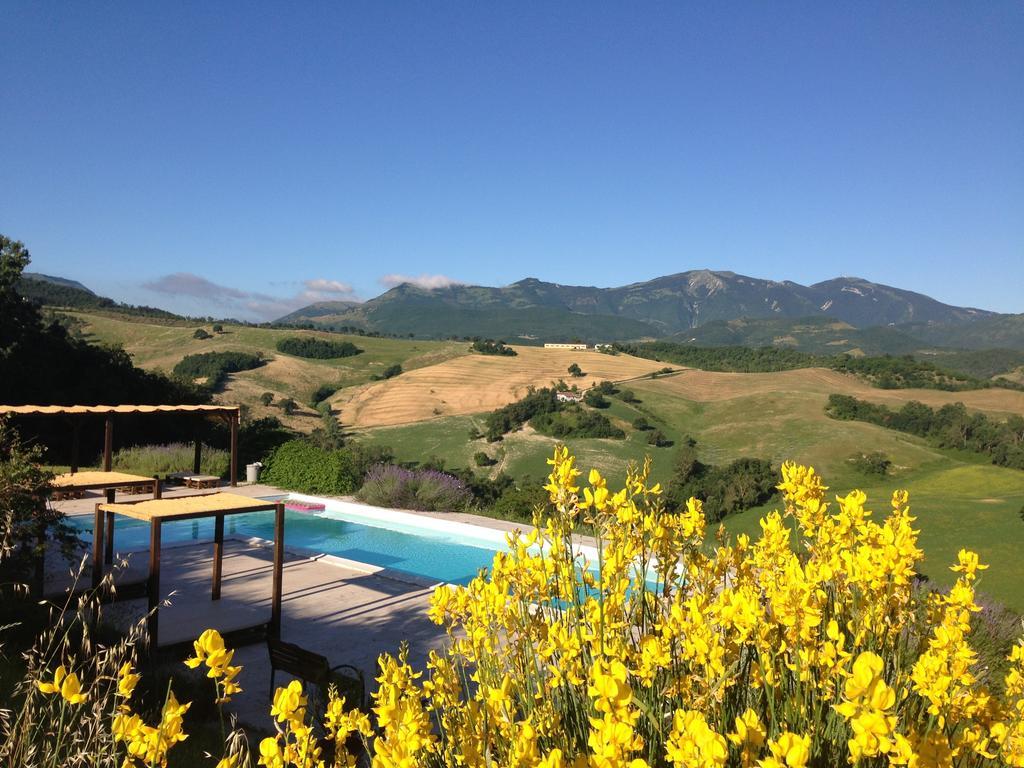 Agriturismo Il Fienile Di Ca Battista 卡利 外观 照片