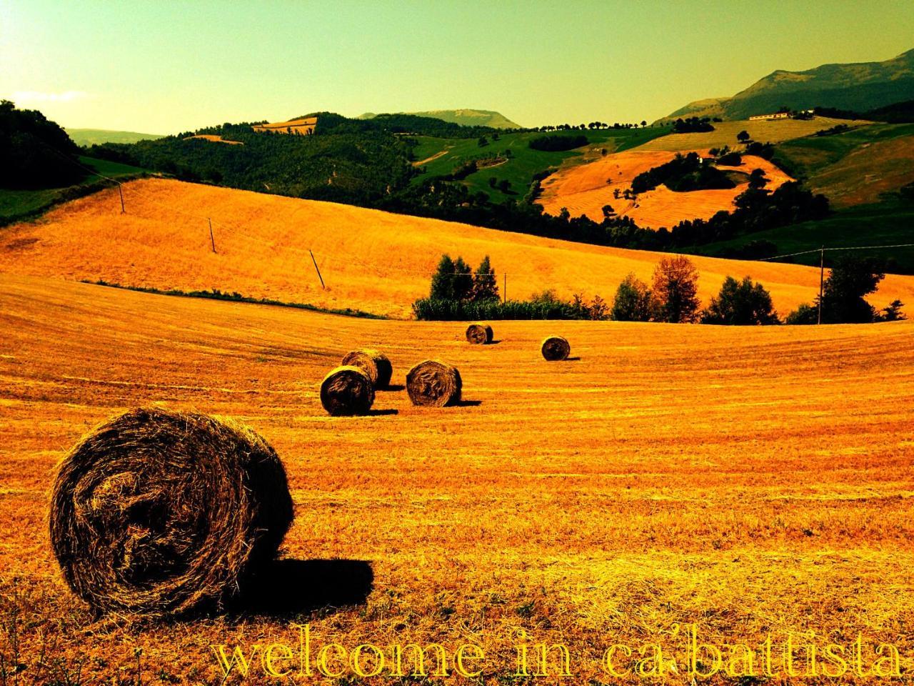 Agriturismo Il Fienile Di Ca Battista 卡利 外观 照片