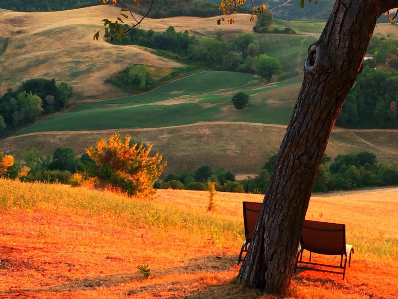 Agriturismo Il Fienile Di Ca Battista 卡利 外观 照片