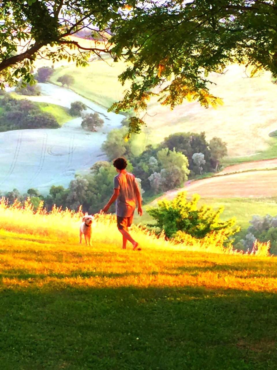 Agriturismo Il Fienile Di Ca Battista 卡利 外观 照片