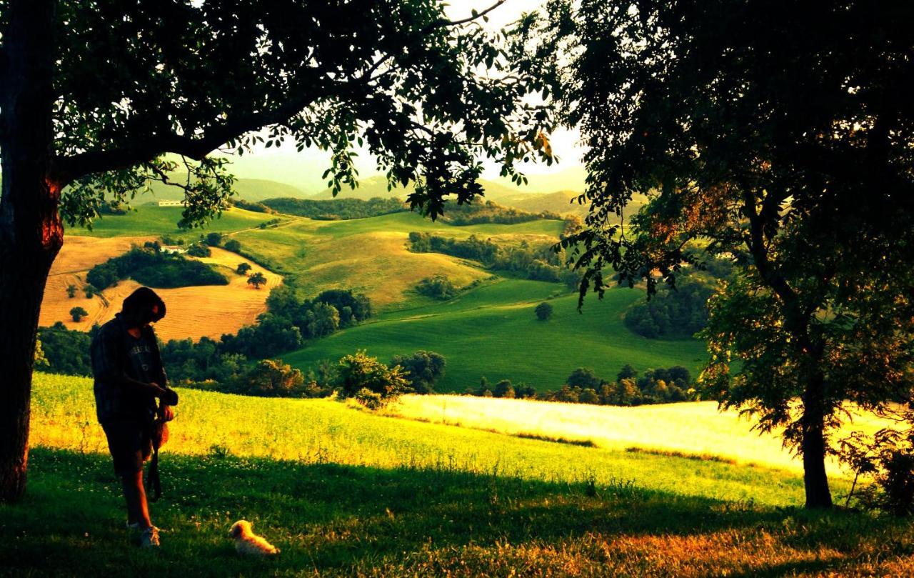 Agriturismo Il Fienile Di Ca Battista 卡利 外观 照片