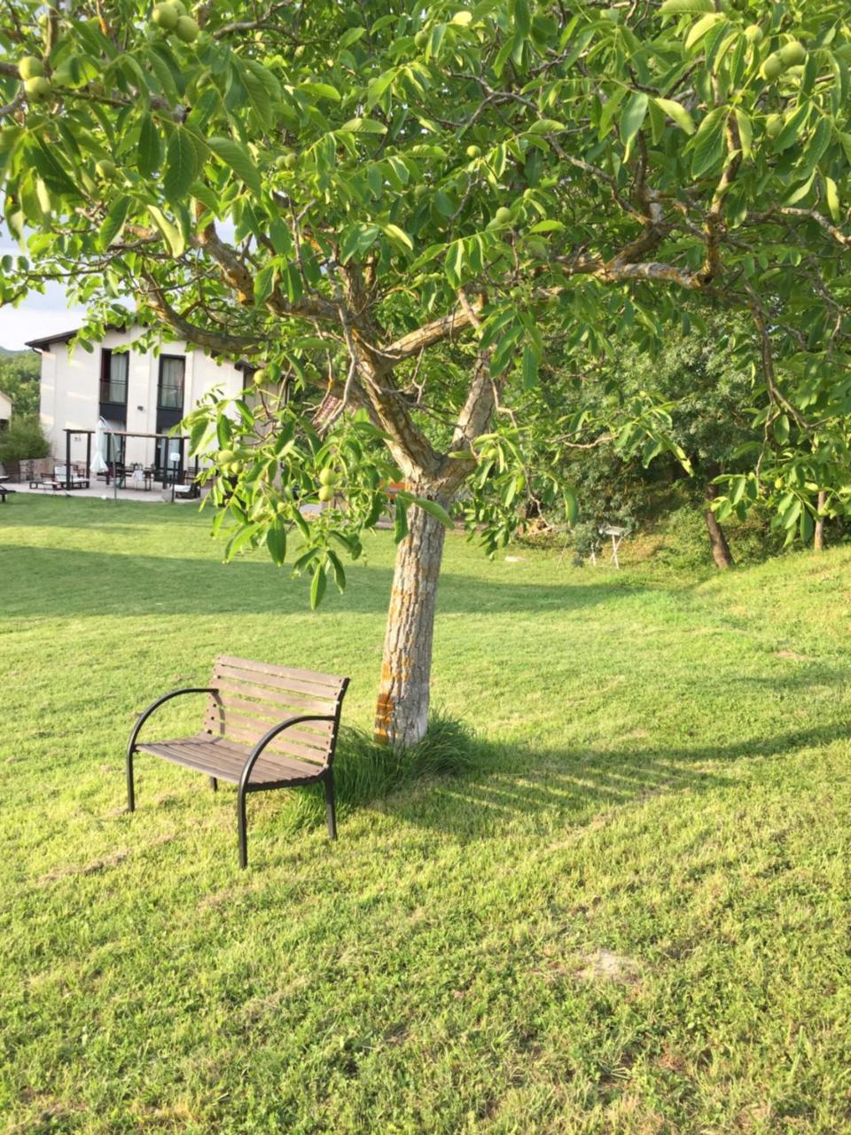Agriturismo Il Fienile Di Ca Battista 卡利 外观 照片