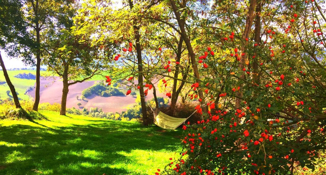 Agriturismo Il Fienile Di Ca Battista 卡利 外观 照片