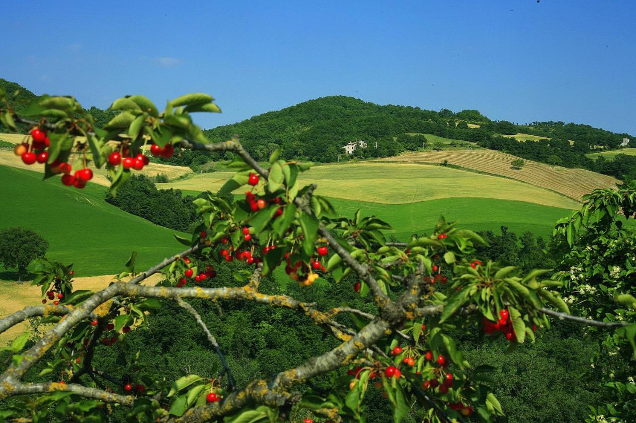 Agriturismo Il Fienile Di Ca Battista 卡利 外观 照片